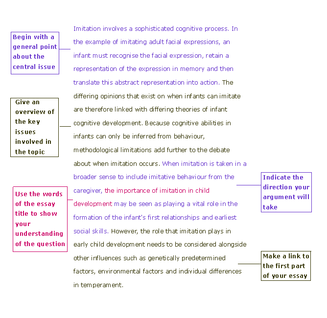 How to Write a Good Introduction to an Essay